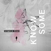 Thumbnail for the Vandelux - Know Some (Remix) (Casmalia Remix) link, provided by host site
