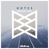 Thumbnail for the Notes - Know You link, provided by host site