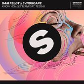 Thumbnail for the Sam Feldt - Know You Better link, provided by host site