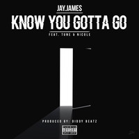 Thumbnail for the Jay James - Know You Gotta Go link, provided by host site