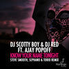 Thumbnail for the DJ Scotty Boy - Know Your Name Tonight (Steve Smooth, Sephano & Torio Remix) link, provided by host site