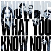Thumbnail for the Marmozets - Knowing What You Know Now link, provided by host site