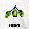 Thumbnail for the Pedro Costa - Knowledge link, provided by host site