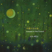 Thumbnail for the Solaris - Kodama In The Forest link, provided by host site
