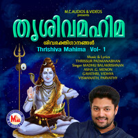 Thumbnail for the Vidhya - Kodi Lingeswari link, provided by host site