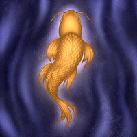Thumbnail for the Rodríguez - Koi link, provided by host site