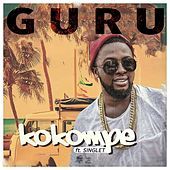 Thumbnail for the The Guru - Kokompe link, provided by host site