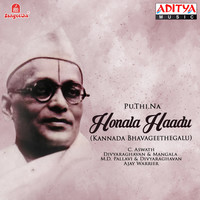Thumbnail for the C.Aswath - Kolalanoodu Govinda link, provided by host site