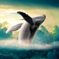 Image of Cheyenne linking to their artist page due to link from them being at the top of the main table on this page