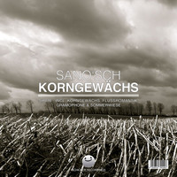 Image of Sanosch linking to their artist page due to link from them being at the top of the main table on this page