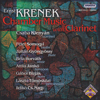 Thumbnail for the Ernst Krenek - Krenek: Chamber Music With Clarinet link, provided by host site