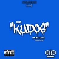 Thumbnail for the Goodz - Kudos link, provided by host site