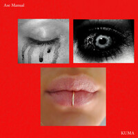 Thumbnail for the Ase Manual - Kuma link, provided by host site