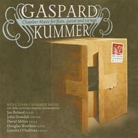 Thumbnail for the Red Cedar Chamber Music - Kummer: Chamber Music for Flute, Guitar and Strings link, provided by host site