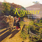 Thumbnail for the Italian Classical Consort - Kummer: Chamber Music for Winds link, provided by host site