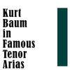 Thumbnail for the Kurt Baum - Kurt Baum in Famous Tenor Arias link, provided by host site