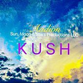 Image of Audion linking to their artist page due to link from them being at the top of the main table on this page