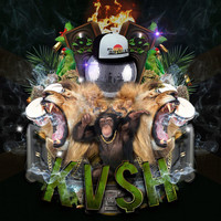 Thumbnail for the Tropkillaz - "Kv$h" link, provided by host site