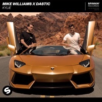 Thumbnail for the Mike Williams - Kylie (Extended Mix) link, provided by host site