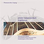 Thumbnail for the Ullrich Böhme - Kyrie, Gott Vater in Ewigkeit, BWV 669 link, provided by host site