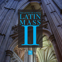 Thumbnail for the Herbert Howells - Kyrie I - Howells' Missa Aedis Christi link, provided by host site