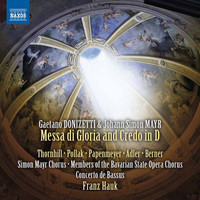 Thumbnail for the Gaetano Donizetti - Kyrie in D Minor link, provided by host site