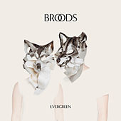 Thumbnail for the Broods - L.A.F link, provided by host site