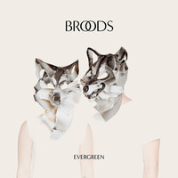 Thumbnail for the Broods - L.A.F link, provided by host site
