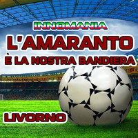 Thumbnail for the Tony D - L'Amaranto E' la Nostra Bandiera (Inno Livorno) - Instrumental link, provided by host site