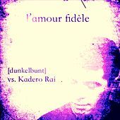 Thumbnail for the [dunkelbunt] - L'amour fidèle (Instrumental) link, provided by host site