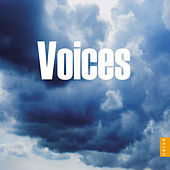 Thumbnail for the Daniel Blumenthal - L'heure exquise link, provided by host site