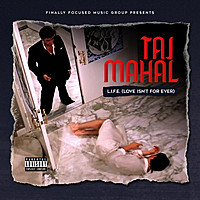 Thumbnail for the Taj Mahal - L.I.F.E (Love Isn't for Ever) link, provided by host site