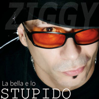 Thumbnail for the Ziggy - La bella e lo stupido link, provided by host site