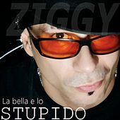Thumbnail for the Ziggy - La bella e lo stupido link, provided by host site