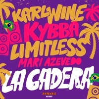 Thumbnail for the Karl Wine - La Cadera link, provided by host site