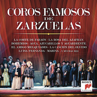 Thumbnail for the Francisco Alonso - La Calesera: Chisperos link, provided by host site