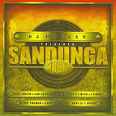 Thumbnail for the Tony Touch - La Colita (Sandunga Music) link, provided by host site