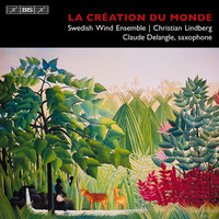 Thumbnail for the Claude Delangle - La creation du monde link, provided by host site