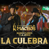 Thumbnail for the Banda Machos - La Culebra link, provided by host site