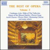 Thumbnail for the Giuseppe Verdi - La forza del destino: Pace, pace mio Dio link, provided by host site