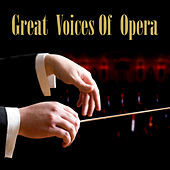 Thumbnail for the Rosa Ponselle - La Forza Del Destino: Pace, Pace Mio Dio link, provided by host site