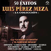 Thumbnail for the Luis Pérez Meza - La India Bonita link, provided by host site