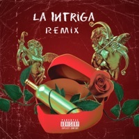 Thumbnail for the Barbel - La Intriga [Remix] link, provided by host site