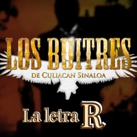 Thumbnail for the Los Buitres de Culiacan Sinaloa - La Letra R link, provided by host site