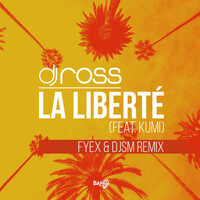 Thumbnail for the DJ Ross - La Liberté link, provided by host site