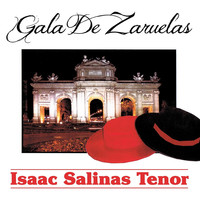 Thumbnail for the Francisco Alonso - La Linda Tapada: "Canción Del Gitano" link, provided by host site
