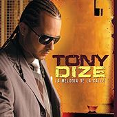 Thumbnail for the Tony Dize - La Melodia De La Calle link, provided by host site
