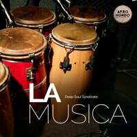 Thumbnail for the Deep Soul Syndicate - La Musica link, provided by host site