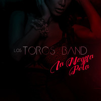 Thumbnail for the Los Toros Band - La Negra Pola link, provided by host site