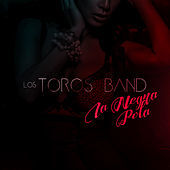 Thumbnail for the Los Toros Band - La Negra Pola link, provided by host site